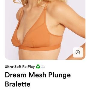 Parade Dream Mesh Plunge Bralette (2 Bras!)